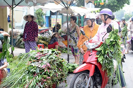 1515 Người dân đi chợ mua một bó treo trước cửa gồm xương rồng, khuynh diệp, ngũ trảo