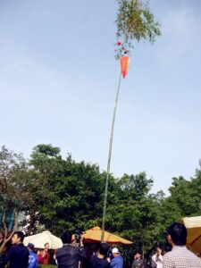 Cay Nieu Ngay Tet 1 1
