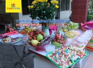 Cung Co Hon 1 6