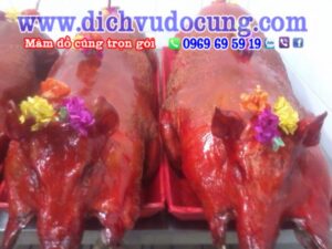Heo Quay Cung Khai Truong 1 1