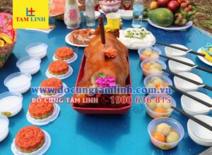 Mam Cung Dong Tho Khoi Cong 5 3