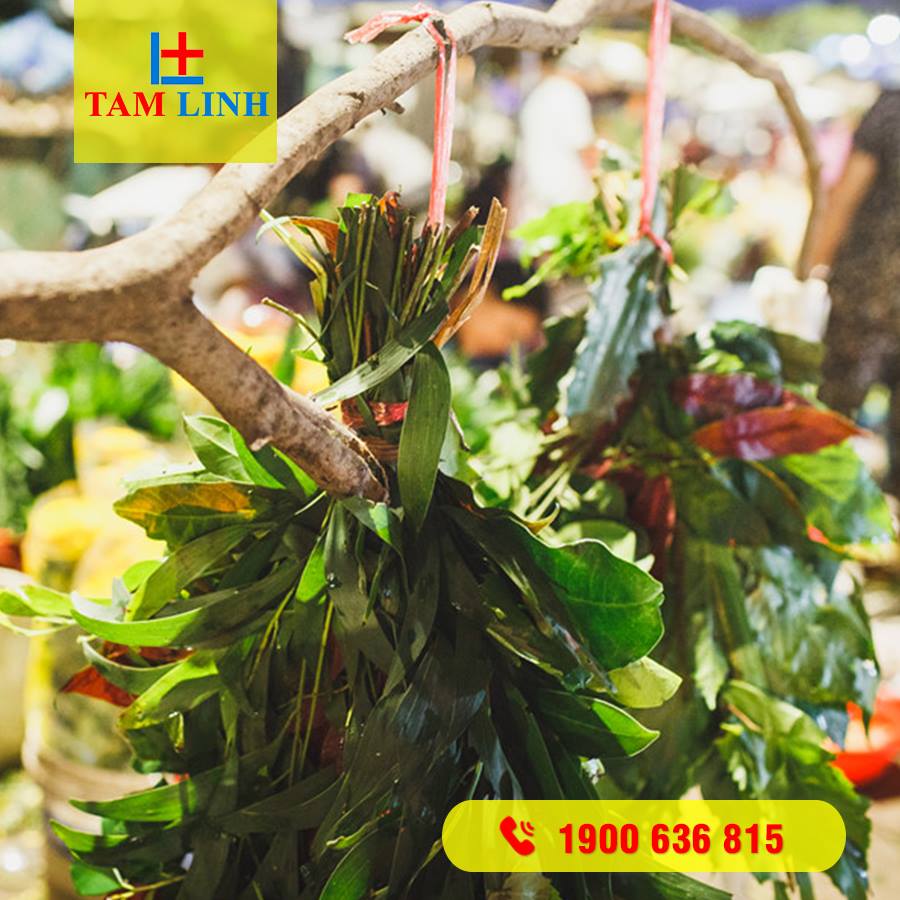 Những tục lệ ngày cúng Tết Đoan Ngọ mùng 5 tháng 5? …