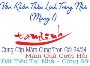 Vancungthanlinhtrongnha Min 3